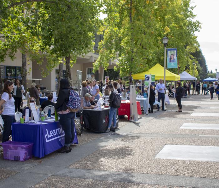 Students at career fair